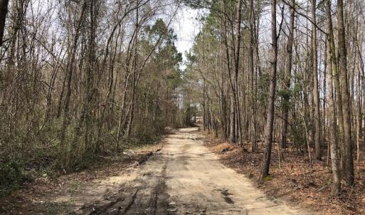Photo of UNDER CONTRACT!  121 Acres of Hunting Land For Sale in Robeson County NC!