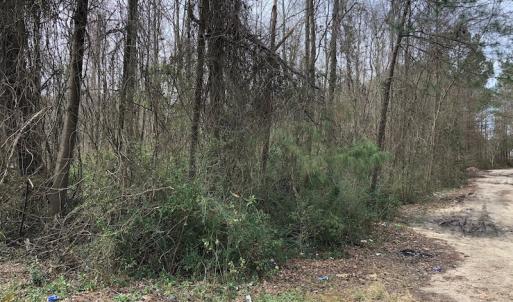 Photo of UNDER CONTRACT!  121 Acres of Hunting Land For Sale in Robeson County NC!