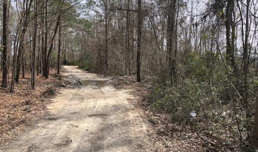 Photo of UNDER CONTRACT!  121 Acres of Hunting Land For Sale in Robeson County NC!