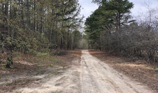 Photo of UNDER CONTRACT!  121 Acres of Hunting Land For Sale in Robeson County NC!