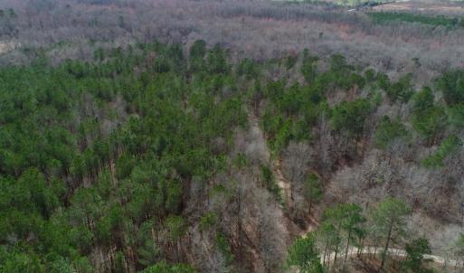 Photo of UNDER CONTRACT!  121 Acres of Hunting Land For Sale in Robeson County NC!