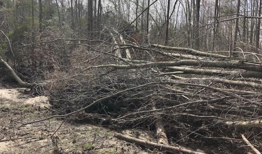 Photo of UNDER CONTRACT!  121 Acres of Hunting Land For Sale in Robeson County NC!