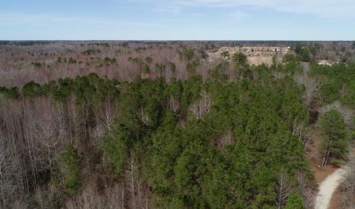 Photo of UNDER CONTRACT!  121 Acres of Hunting Land For Sale in Robeson County NC!