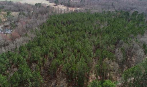 Photo of UNDER CONTRACT!  121 Acres of Hunting Land For Sale in Robeson County NC!