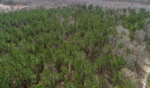 Photo of UNDER CONTRACT!  121 Acres of Hunting Land For Sale in Robeson County NC!