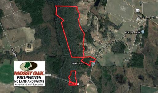 Photo of UNDER CONTRACT!  121 Acres of Hunting Land For Sale in Robeson County NC!