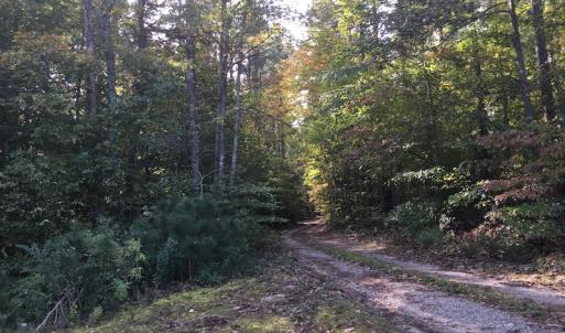 Photo of UNDER CONTRACT!  47.42 Acres of Recreational and Residential Land For sale in Charlotte County VA!