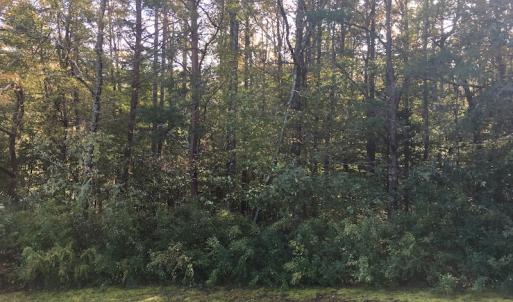Photo of UNDER CONTRACT!  47.42 Acres of Recreational and Residential Land For sale in Charlotte County VA!