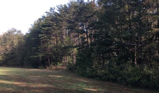 Photo of UNDER CONTRACT!  47.42 Acres of Recreational and Residential Land For sale in Charlotte County VA!
