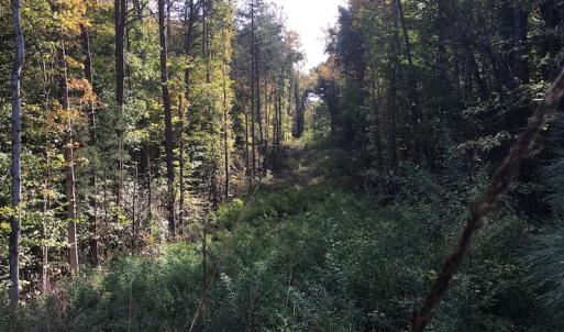 Photo of UNDER CONTRACT!  47.42 Acres of Recreational and Residential Land For sale in Charlotte County VA!
