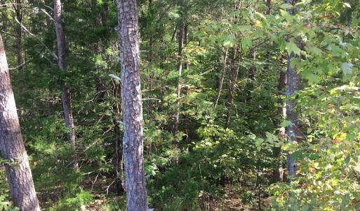 Photo of UNDER CONTRACT!  47.42 Acres of Recreational and Residential Land For sale in Charlotte County VA!