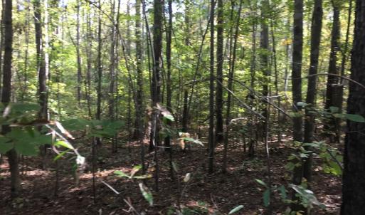 Photo of UNDER CONTRACT!  47.42 Acres of Recreational and Residential Land For sale in Charlotte County VA!