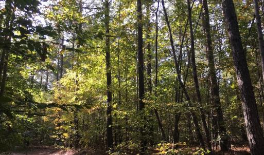 Photo of UNDER CONTRACT!  47.42 Acres of Recreational and Residential Land For sale in Charlotte County VA!