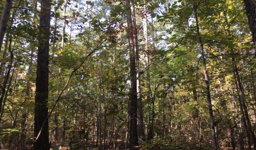 Photo of UNDER CONTRACT!  47.42 Acres of Recreational and Residential Land For sale in Charlotte County VA!