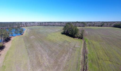 Photo of UNDER CONTRACT!  69 Acres of Residential Timber and Farm Land for Sale in Columbus County NC!