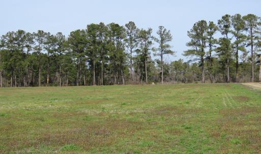 Photo of UNDER CONTRACT!  69 Acres of Residential Timber and Farm Land for Sale in Columbus County NC!