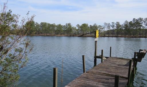 Photo of UNDER CONTRACT!  69 Acres of Residential Timber and Farm Land for Sale in Columbus County NC!