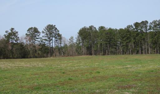 Photo of UNDER CONTRACT!  69 Acres of Residential Timber and Farm Land for Sale in Columbus County NC!