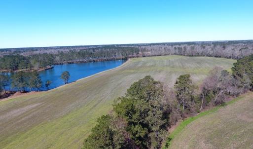 Photo of UNDER CONTRACT!  69 Acres of Residential Timber and Farm Land for Sale in Columbus County NC!