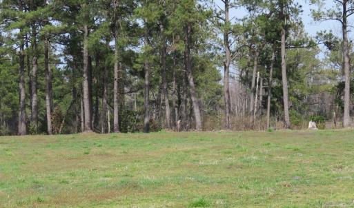 Photo of UNDER CONTRACT!  69 Acres of Residential Timber and Farm Land for Sale in Columbus County NC!