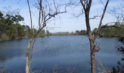 Photo of UNDER CONTRACT!  69 Acres of Residential Timber and Farm Land for Sale in Columbus County NC!