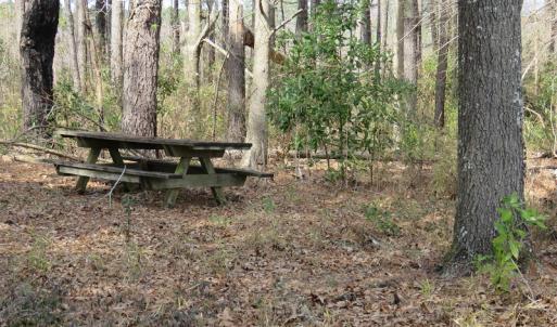 Photo of UNDER CONTRACT!  69 Acres of Residential Timber and Farm Land for Sale in Columbus County NC!