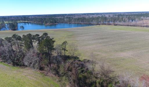 Photo of UNDER CONTRACT!  69 Acres of Residential Timber and Farm Land for Sale in Columbus County NC!