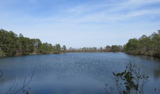 Photo of UNDER CONTRACT!  69 Acres of Residential Timber and Farm Land for Sale in Columbus County NC!