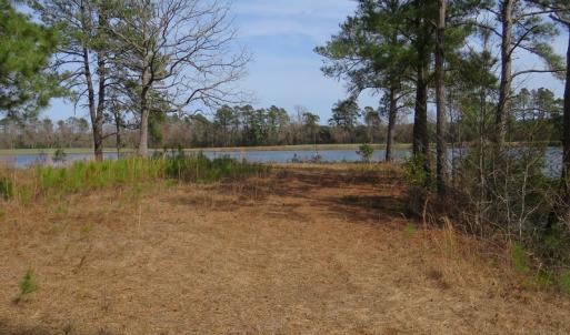 Photo of UNDER CONTRACT!  69 Acres of Residential Timber and Farm Land for Sale in Columbus County NC!