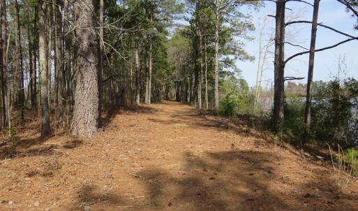 Photo of UNDER CONTRACT!  69 Acres of Residential Timber and Farm Land for Sale in Columbus County NC!
