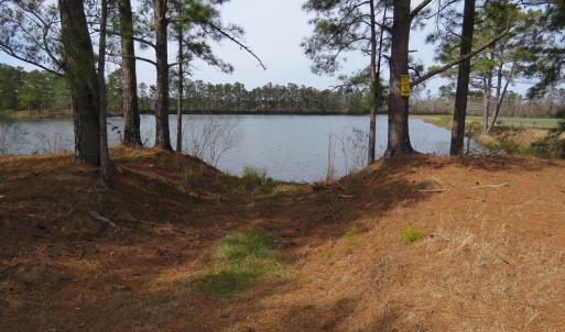Photo of UNDER CONTRACT!  69 Acres of Residential Timber and Farm Land for Sale in Columbus County NC!