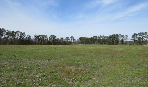 Photo of UNDER CONTRACT!  69 Acres of Residential Timber and Farm Land for Sale in Columbus County NC!
