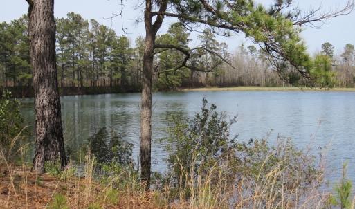 Photo of UNDER CONTRACT!  69 Acres of Residential Timber and Farm Land for Sale in Columbus County NC!