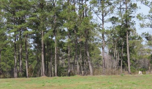 Photo of UNDER CONTRACT!  69 Acres of Residential Timber and Farm Land for Sale in Columbus County NC!