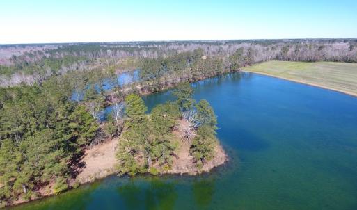 Photo of UNDER CONTRACT!  69 Acres of Residential Timber and Farm Land for Sale in Columbus County NC!