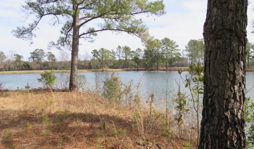Photo of UNDER CONTRACT!  69 Acres of Residential Timber and Farm Land for Sale in Columbus County NC!