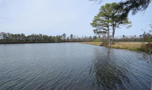 Photo of UNDER CONTRACT!  69 Acres of Residential Timber and Farm Land for Sale in Columbus County NC!