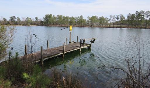 Photo of UNDER CONTRACT!  69 Acres of Residential Timber and Farm Land for Sale in Columbus County NC!