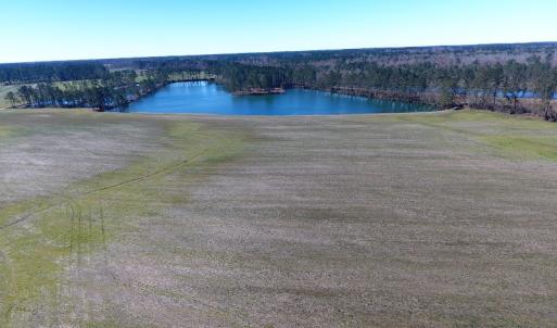 Photo of UNDER CONTRACT!  69 Acres of Residential Timber and Farm Land for Sale in Columbus County NC!