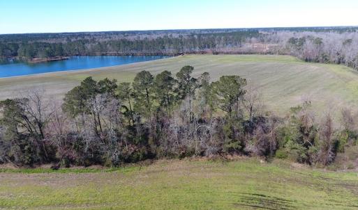 Photo of UNDER CONTRACT!  69 Acres of Residential Timber and Farm Land for Sale in Columbus County NC!