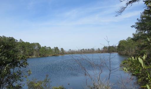 Photo of UNDER CONTRACT!  69 Acres of Residential Timber and Farm Land for Sale in Columbus County NC!