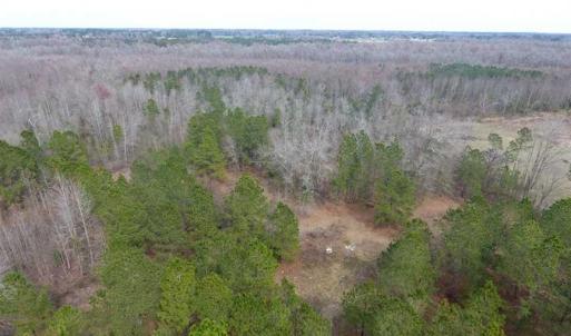 Photo of SOLD!! 12.4 Acres of Hunting and Timber Land For Sale in Robeson County NC!