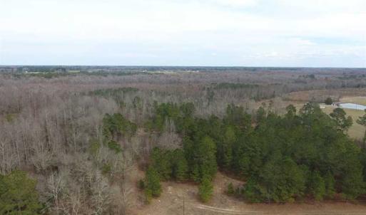 Photo of SOLD!! 12.4 Acres of Hunting and Timber Land For Sale in Robeson County NC!