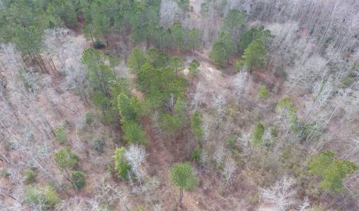 Photo of SOLD!! 12.4 Acres of Hunting and Timber Land For Sale in Robeson County NC!