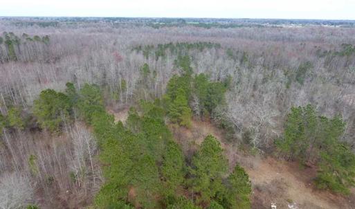 Photo of SOLD!! 12.4 Acres of Hunting and Timber Land For Sale in Robeson County NC!