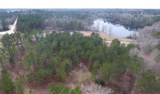Photo of SOLD!! 12.4 Acres of Hunting and Timber Land For Sale in Robeson County NC!