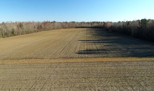 Photo of SOLD!!  47 Acres of Farm and Timber Land For Sale in Columbus County NC!