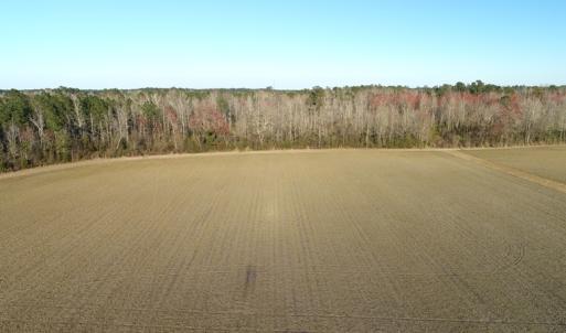 Photo of SOLD!!  47 Acres of Farm and Timber Land For Sale in Columbus County NC!