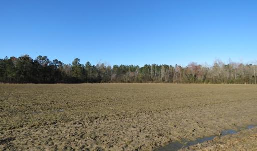 Photo of SOLD!!  47 Acres of Farm and Timber Land For Sale in Columbus County NC!