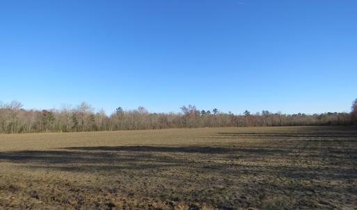Photo of SOLD!!  47 Acres of Farm and Timber Land For Sale in Columbus County NC!